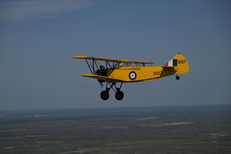 Fleet Finch in flight
